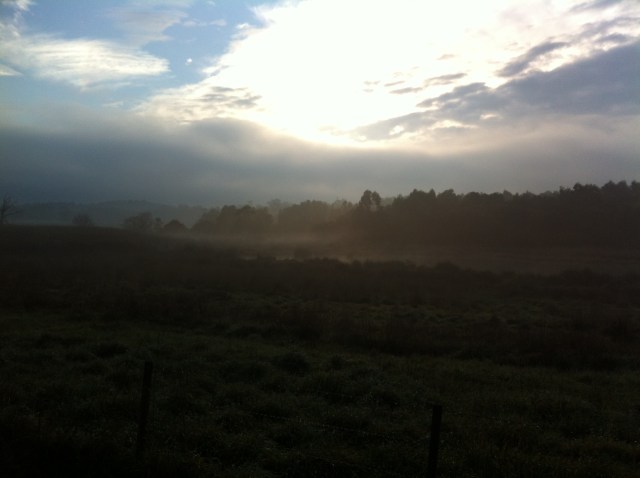 Sunrise from Dandenong Creek Trail
